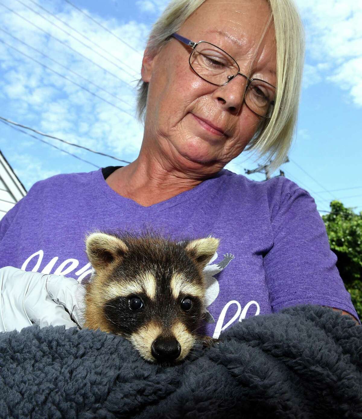 Eunice Demond of Little Rascals Rescue and Rehabilitation holds a six-week-old raccoon behind her home in Guilford July 1, 2021, that was found wandering in a road in East Haven.