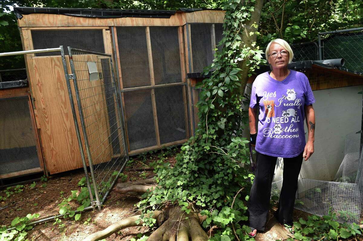 Guilford animal rescuer sues PZC over permit denial