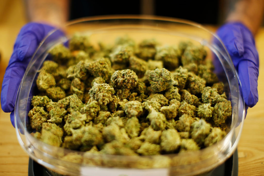 Lume harvests 40K pounds of marijuana between 2 facilities - The Pioneer