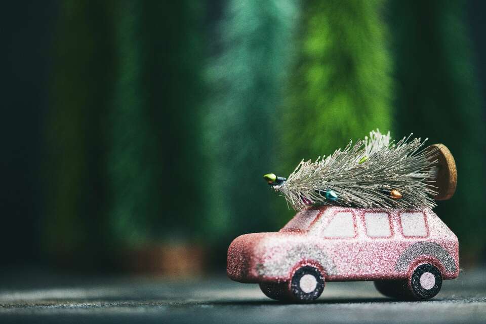 Tips For How To Safely Transport A Christmas Tree, Per AAA