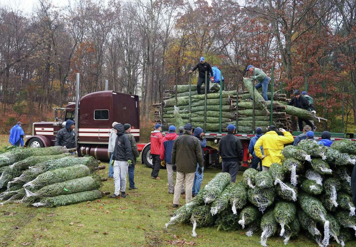 The cold rain did not dampen the spirits of volunteers who helped the Exchange Club unload 1,800 trees in less than two hours for the annual tree sale at Kiwanis Park at 77 Old Norwalk Road.