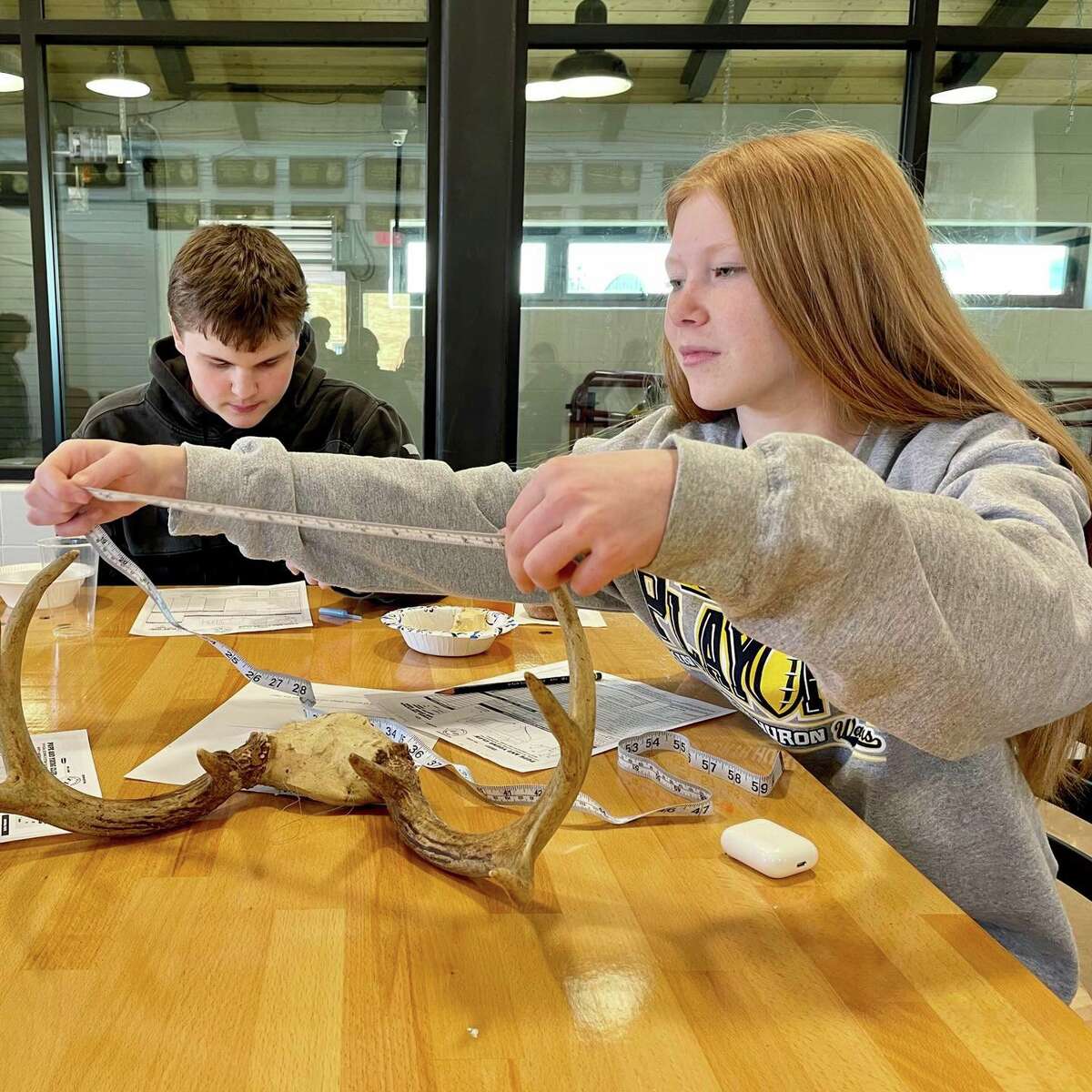 Students measure deer antlers and points during North Huron Schools' Deer Day during the week of Thanksgiving. 