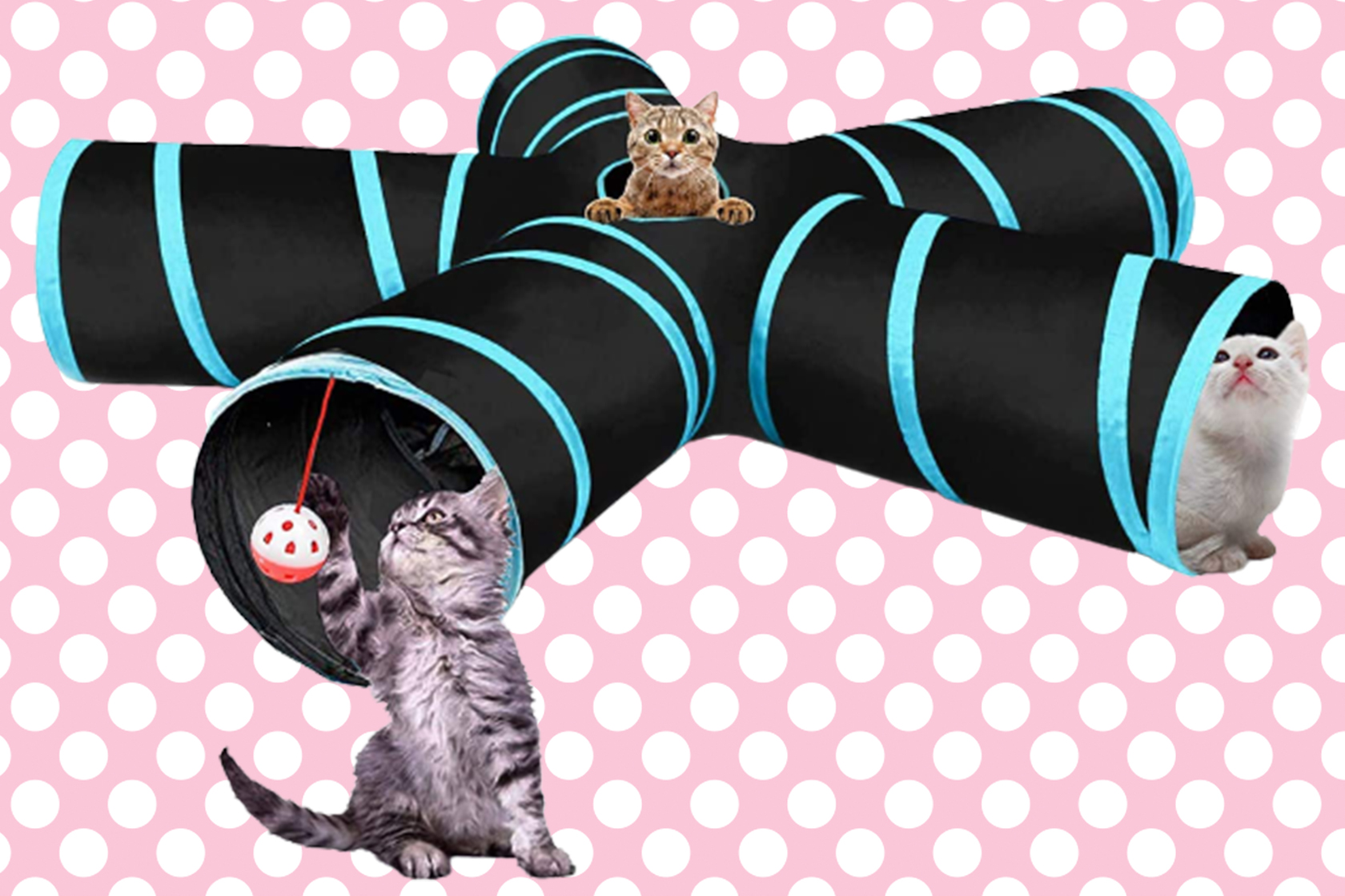 The best cat toys and treats for under $20 - Vimarsana News