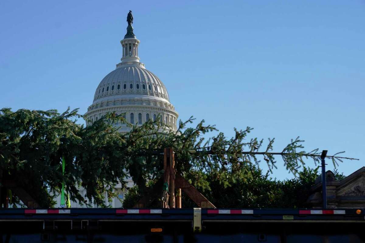 The Capitol Hill Christmas Tree arrives on a flatbed truck on Capitol Hill in Washington D.C. This year the 84-foot white fir tree “Sugar Bear” was picked from Six Rivers National Forest in Northern California.