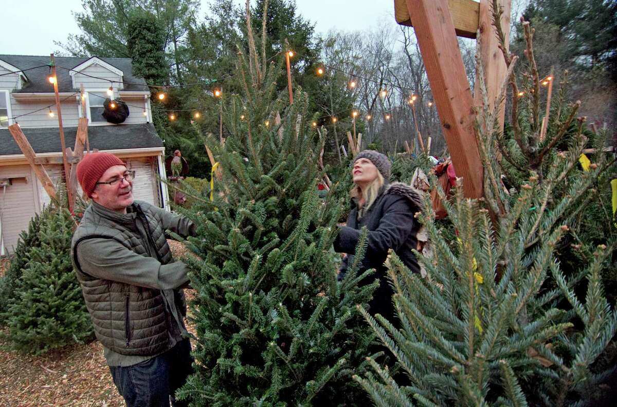 Mike and Teresa Carangelo stop by after work to shop for a Christmas tree at High Ridge Nursery in Stamford on Tuesday. The garden center offers premium Fraser fir trees from the Carolinas. Sizes range from 5 feet to 15 feet. Prices start at $100.