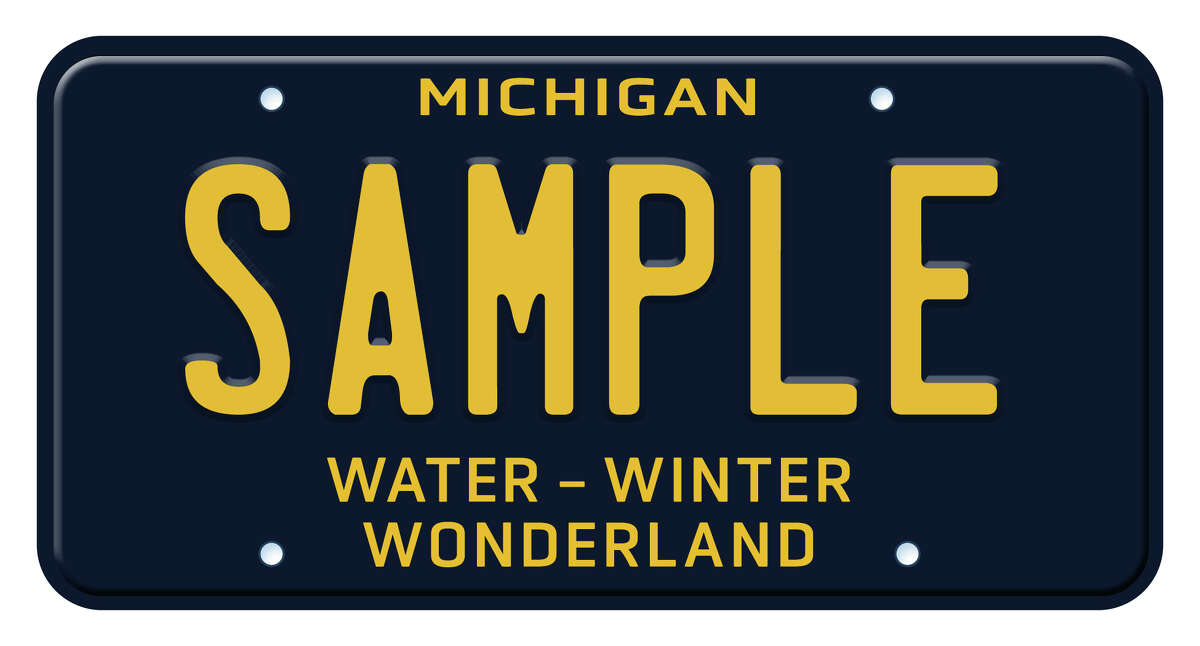 You can take a nostalgic trip down memory lane and celebrate Michigan's four-seasons appeal by purchasing the license plate.