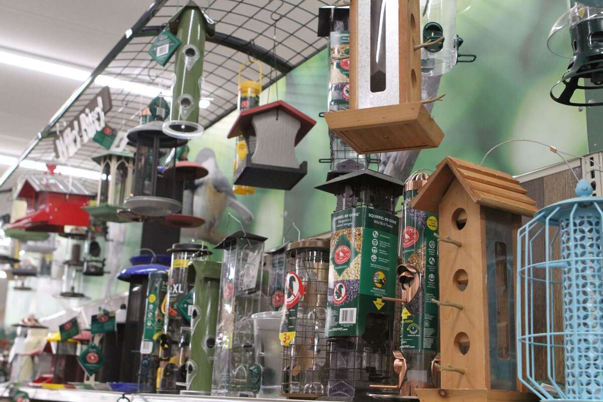 New ACE Hardware store opens in Reed City