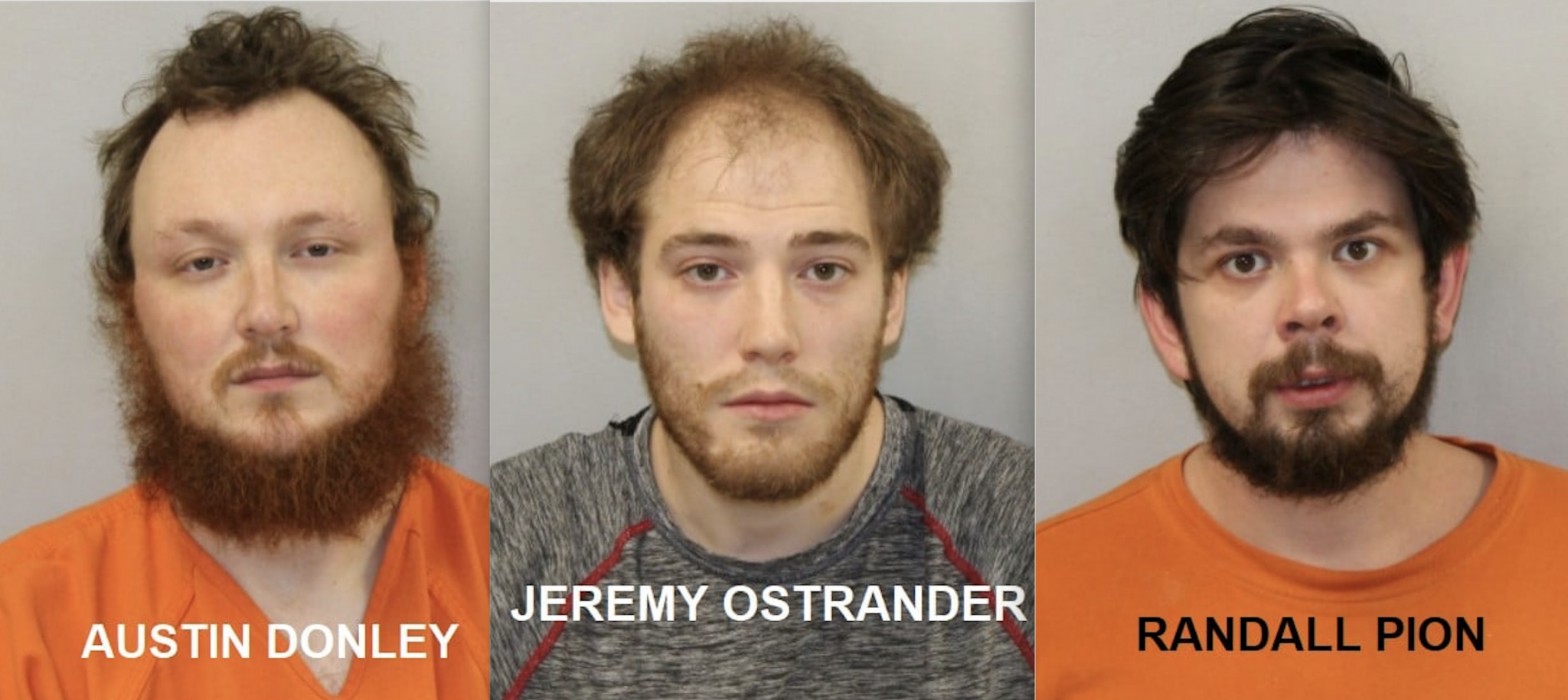 Three Big Rapids men arrested in child trafficking sting