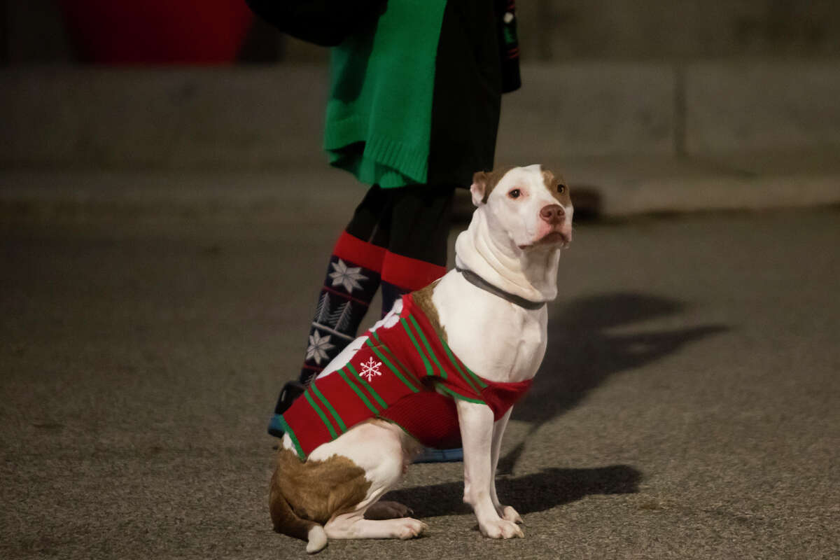 Jingle Bell Fun Run to light up Downtown Midland Nov. 30