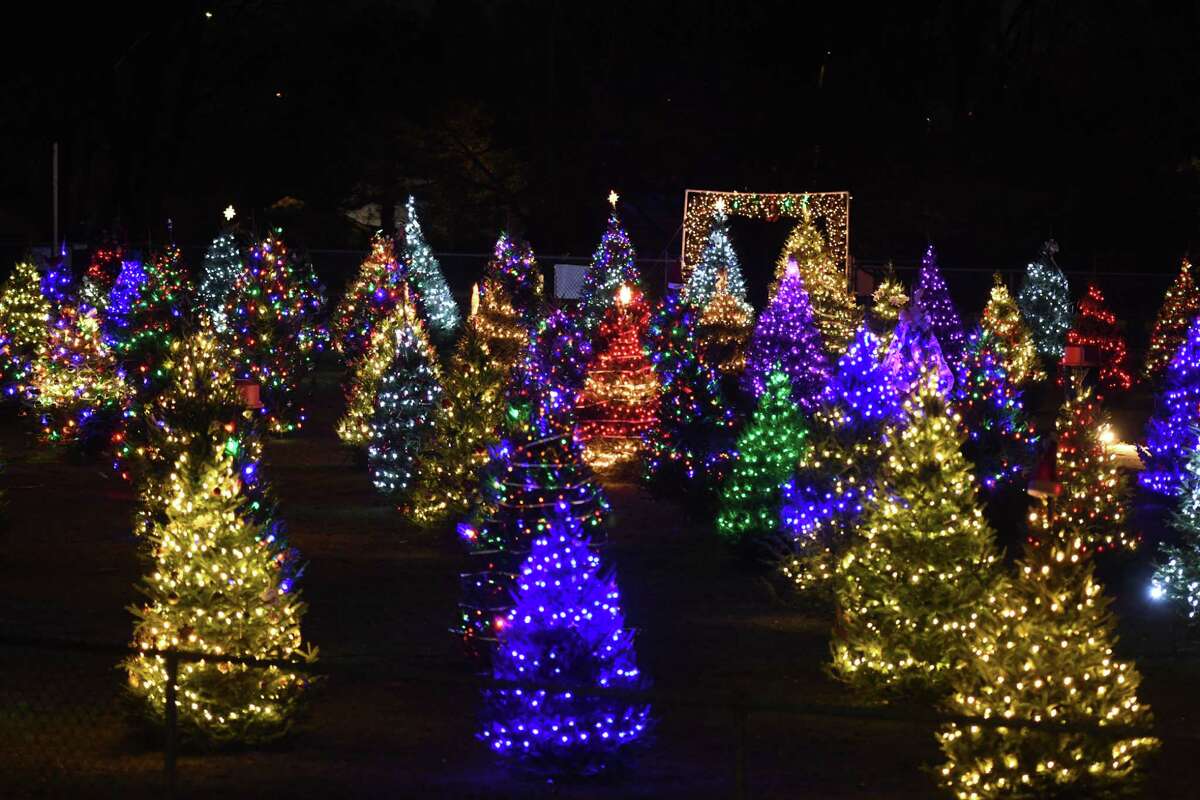 Display of holiday trees remembers the dearly departed