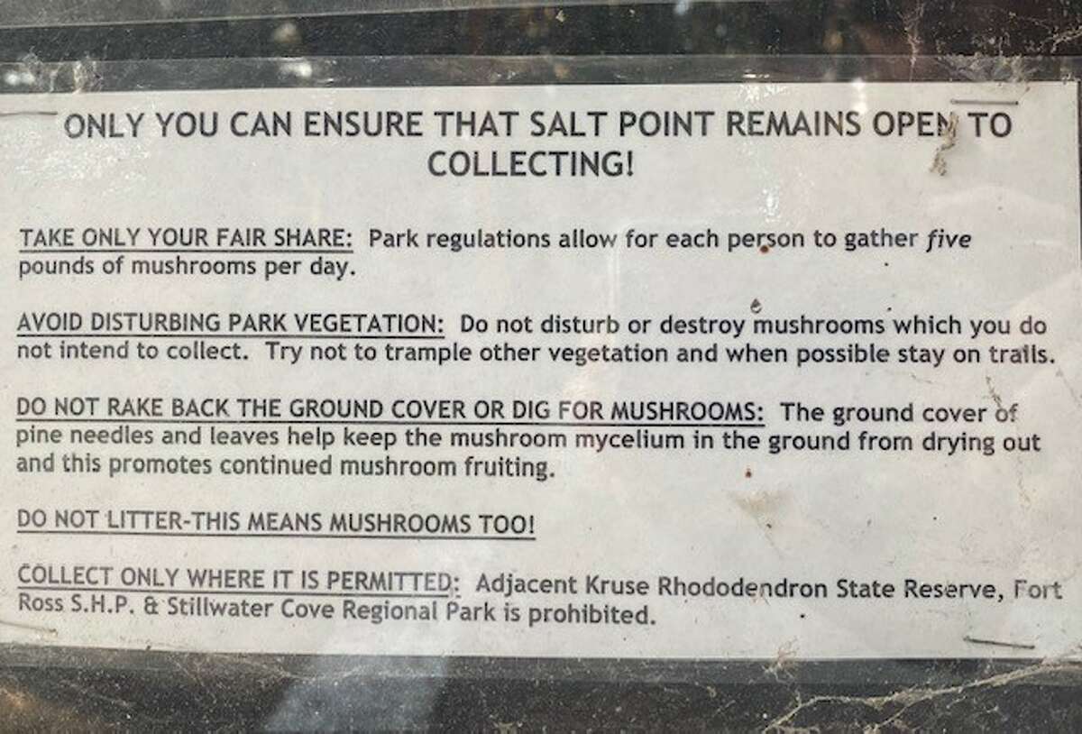 A sign at Salt Point State Park explains to mushroom hunters how they can help take care of the park. 