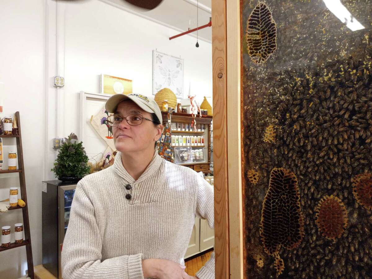 Cathy Wolko, owner of The Humble Bee and the Hive @ the Pin shops in Oakville, stands by some of her bees that live inside the shop. A tube connected to the flat hive allows the bees to come and go.