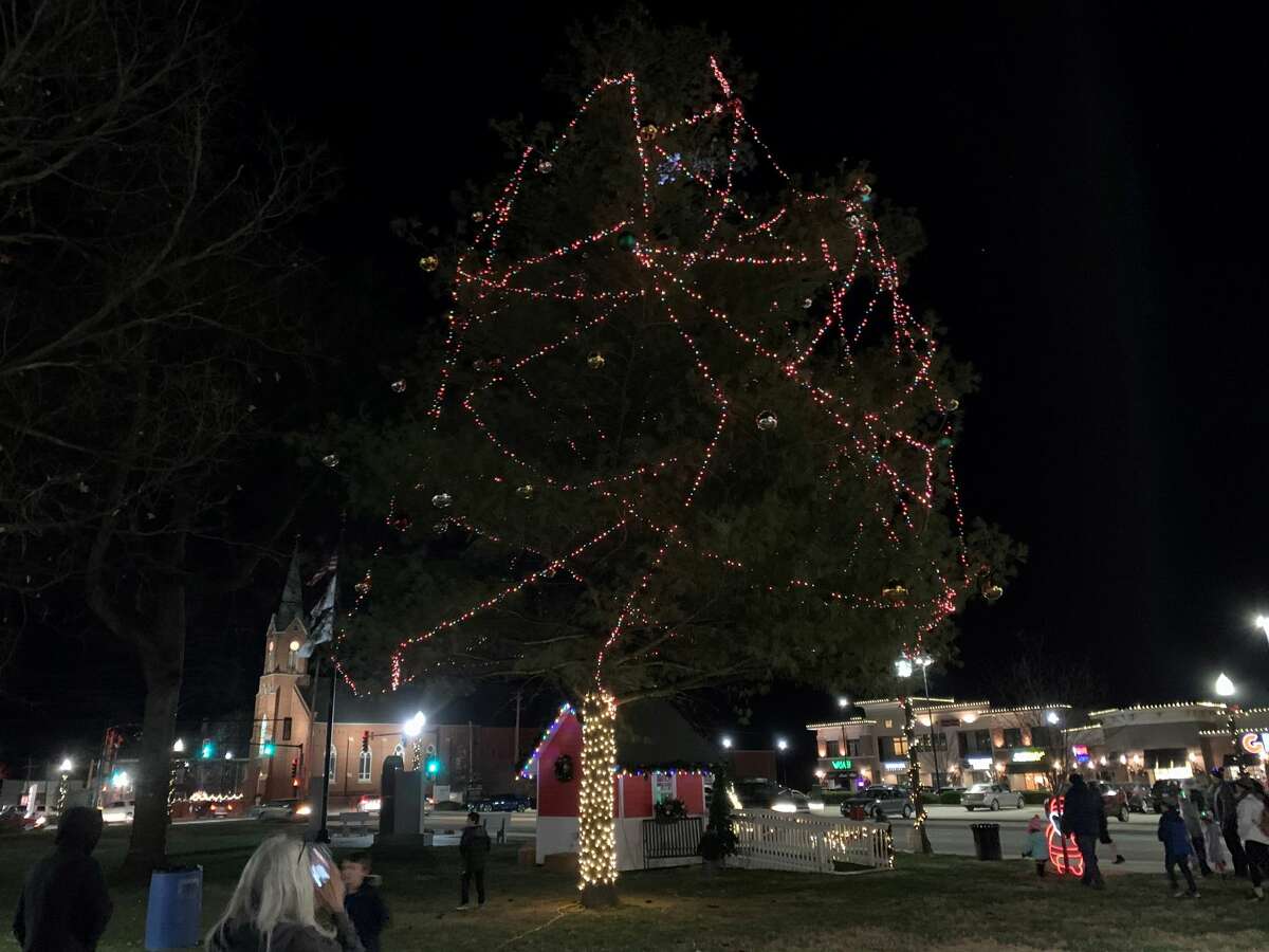 The Edwardsville Christmas tree at City Park. 4,000 lights were used, as well as 75 10-inch in diameter bulbs. It's the first lighting of a hopeful new tradition. 