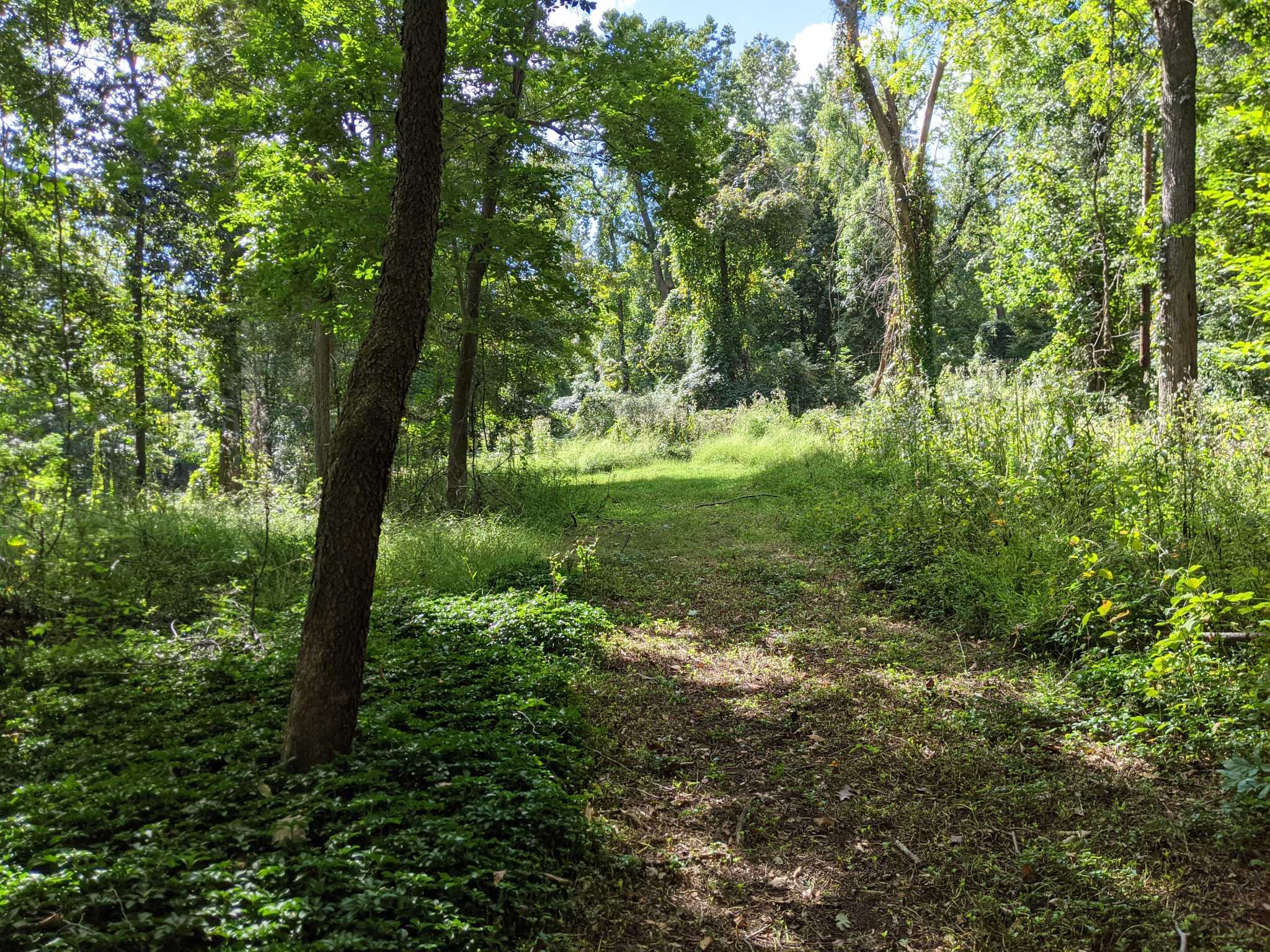 Greenwich Land Trust’s 2.2 million purchase keeps 8 acres ‘in good