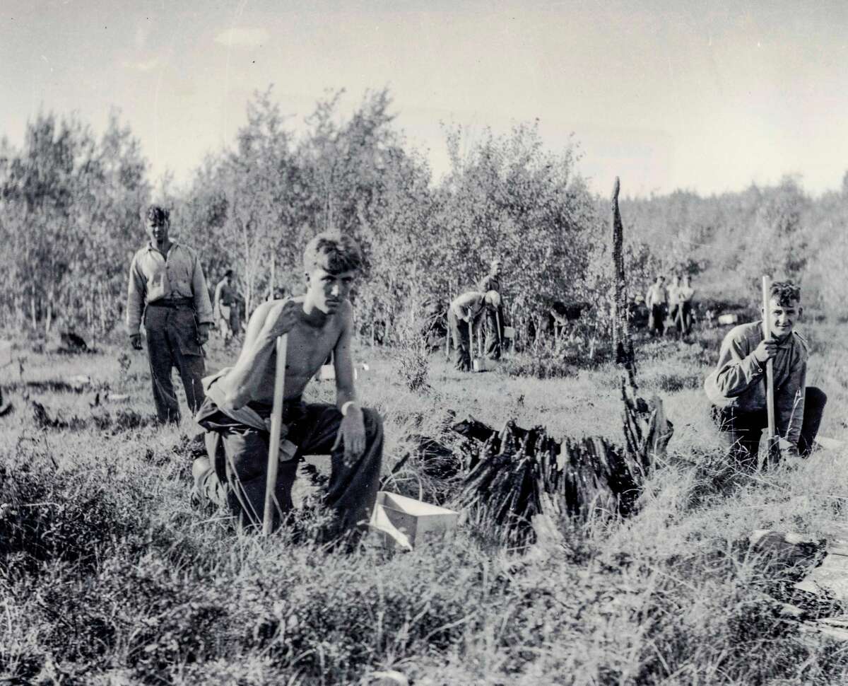 Members of the Civilian Conservation Corps plant rows of trees in the Huron-Manistee Forest during the 1930s. The corps was responsible for planting 484 million trees in state and federal forests in Michigan.