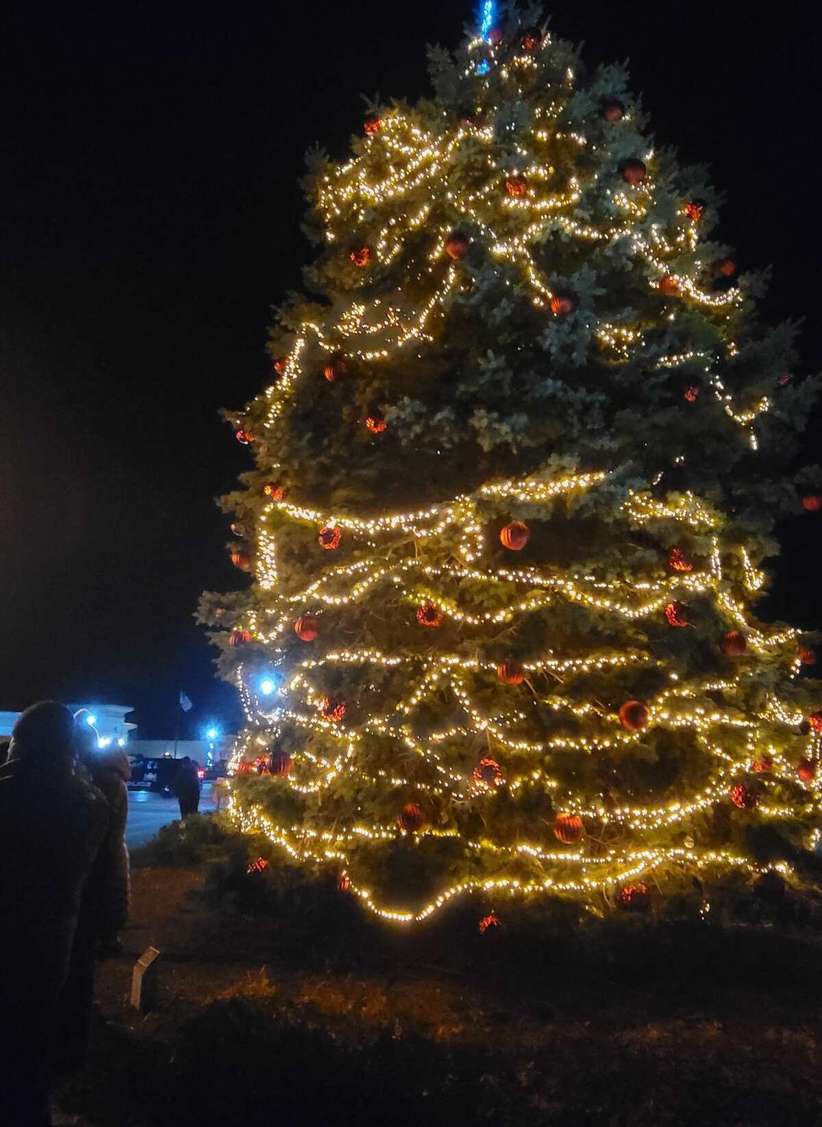 Frankfort's Christmas tree has new lights and ornaments thanks to a partnership between volunteers and the city. 