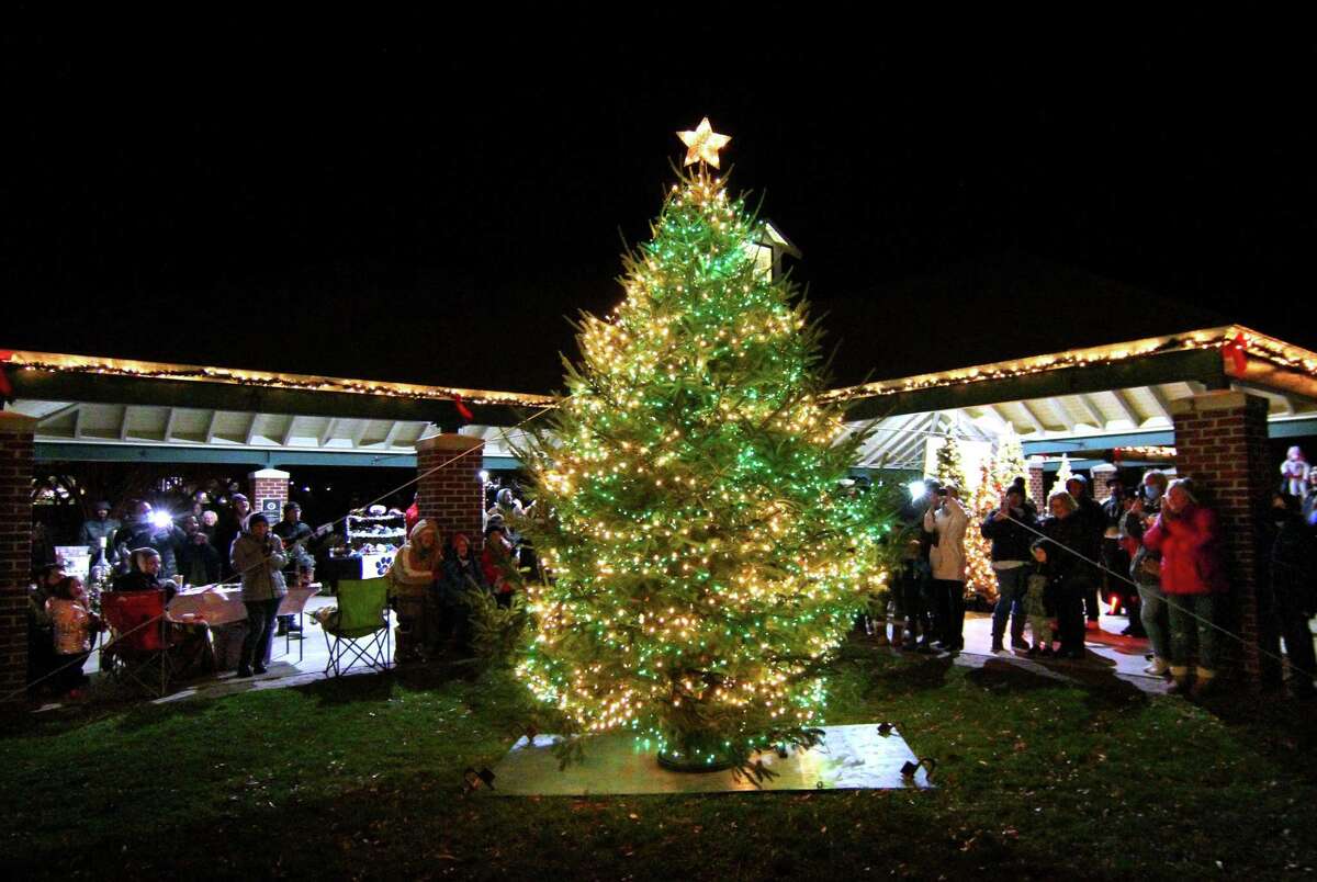 Area residents take part in Celebrate Shelton's eighth annual Community Tree Lighting held at Veterans Memorial Park in Shelton, Conn., on Friday December 3, 2021.