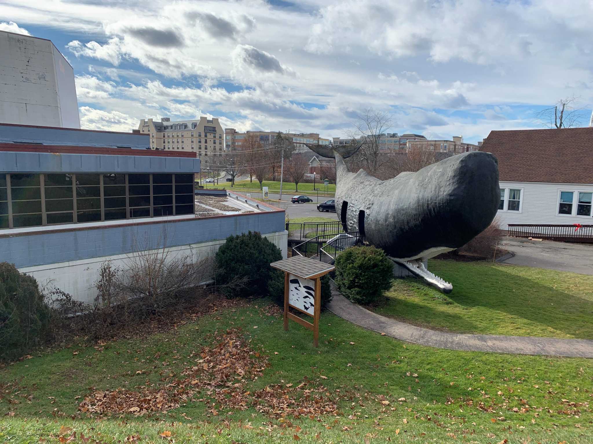 Will Connecticut's iconic Conny the Whale be saved? It could cost up to $200K. - Vimarsana News