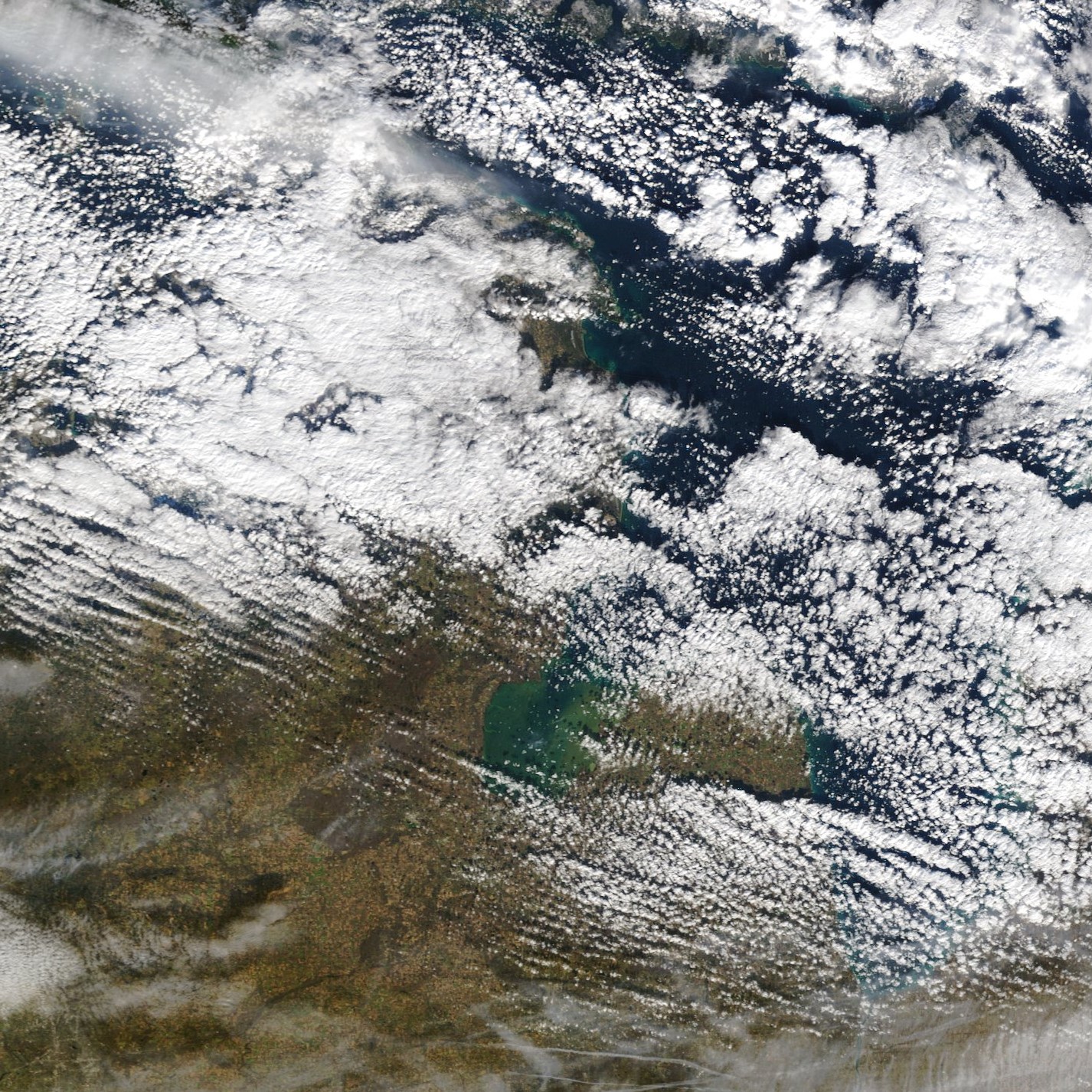 Wind gusts up to 50 mph and lake effect snow showers hit Michigan Monday