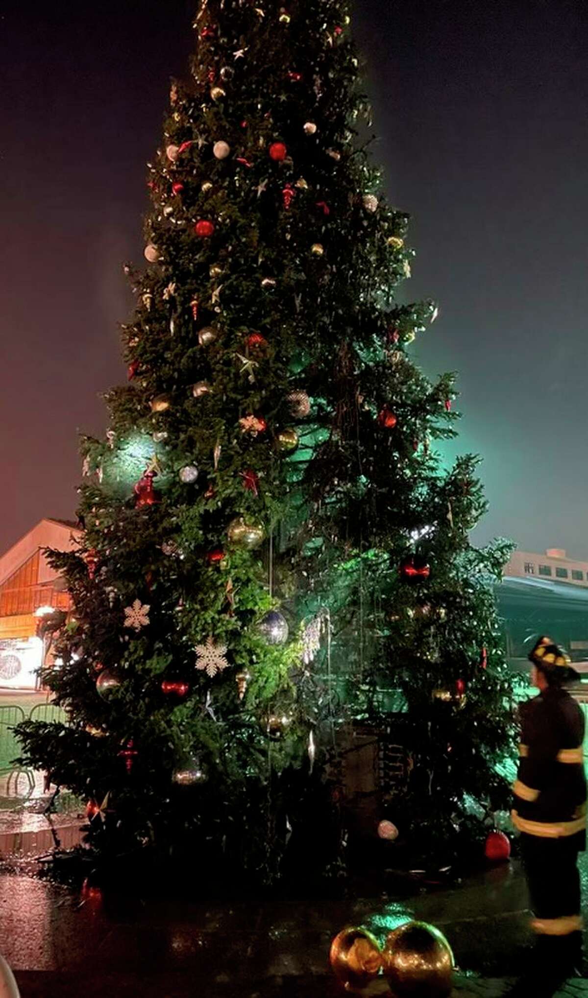 A photograph of the Christmas tree at Oakland’s Jack London Square after firefighters put out a blaze that started early Monday morning. The tree sustained damage but was not considered a total loss.