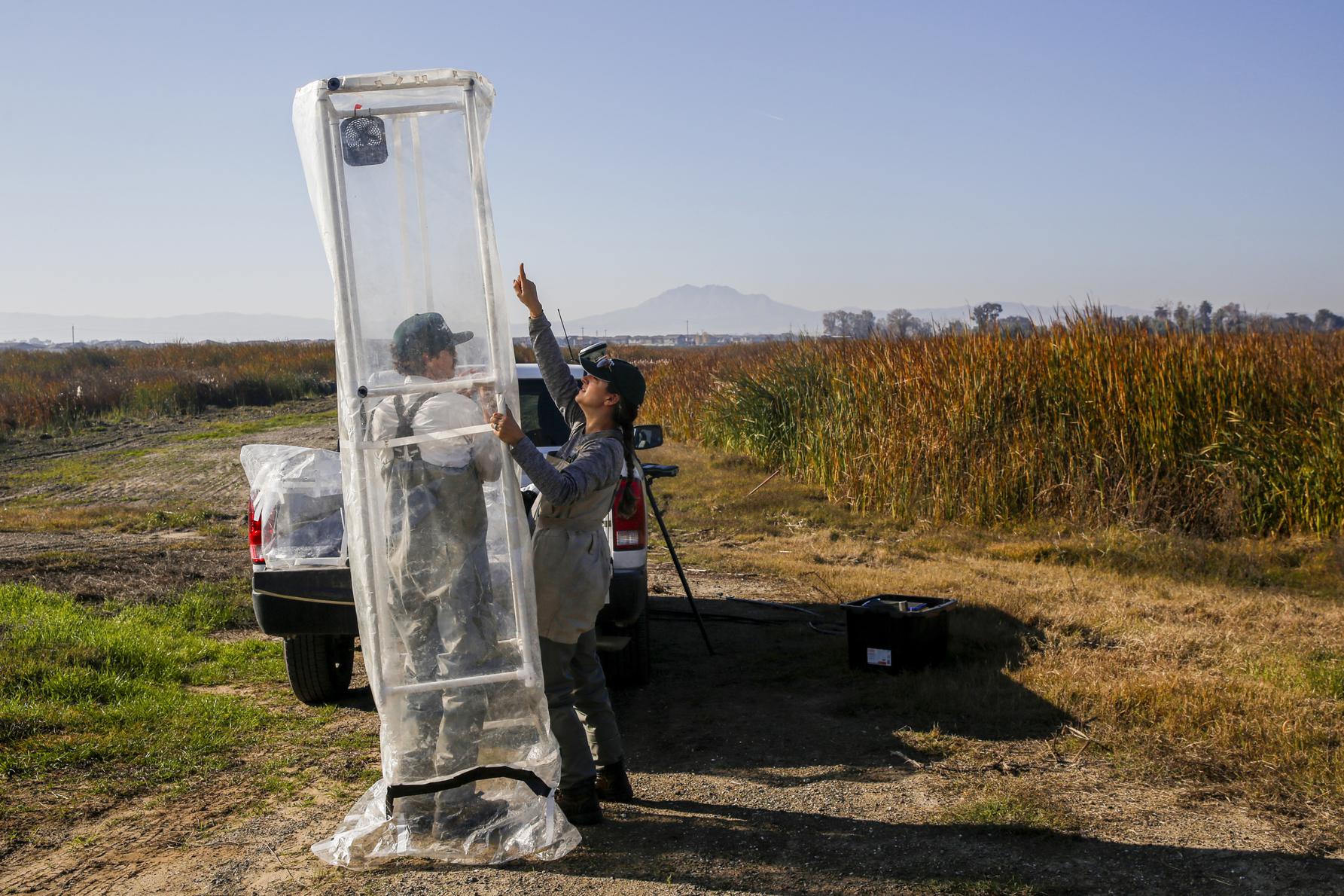 This delta wetland restoration will help California meet climate goals. Why is it taking over 20 years to finish? - Vimarsana News