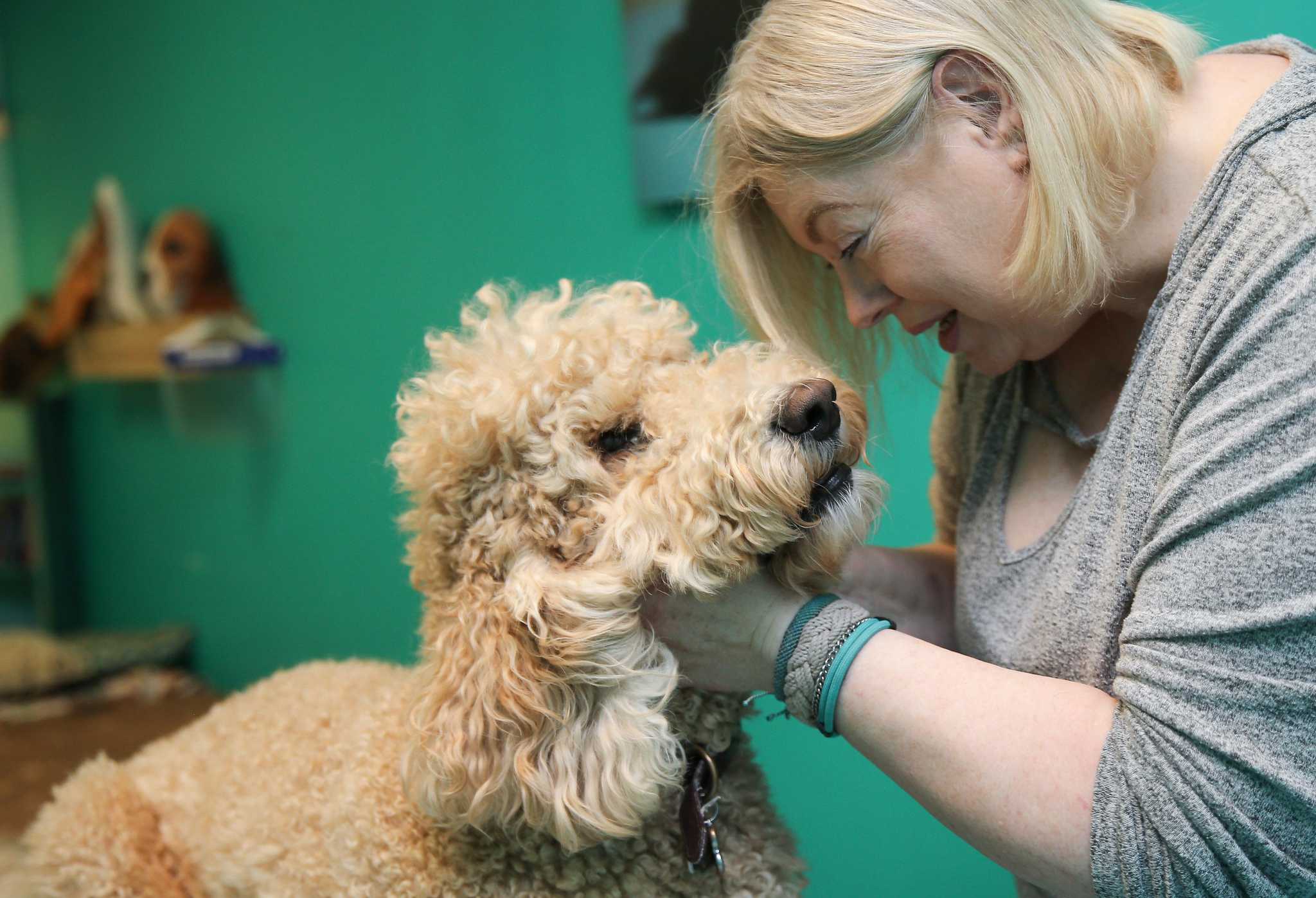 How Houston woman is calming pandemic anxiety in dogs through massage