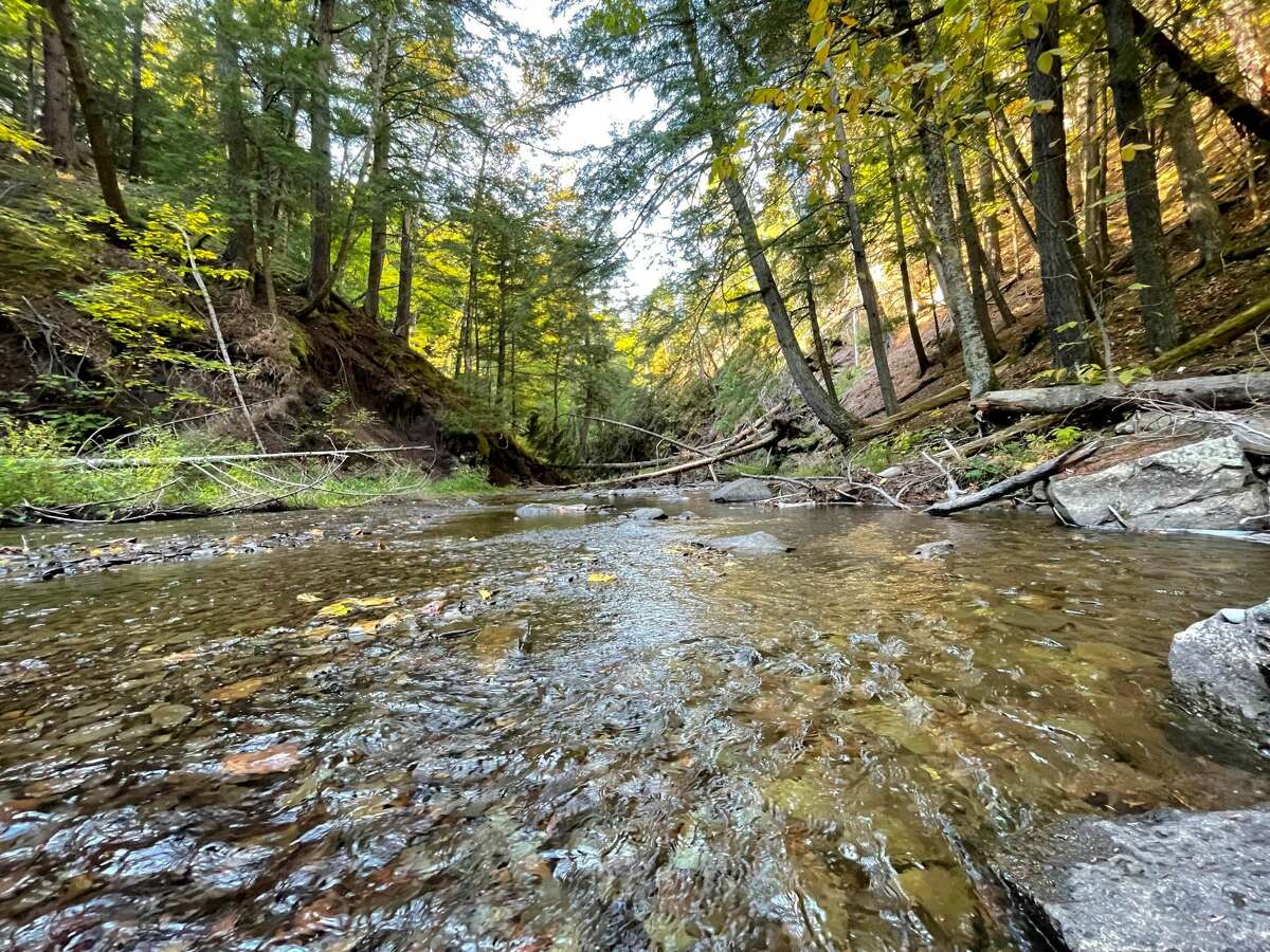 The Nature Conservancy (TNC) recently acquired more than 10,000 acres, known as the Slate River Timberlands, in the Upper Peninsula’s Michigamme Highlands area northwest of Marquette.