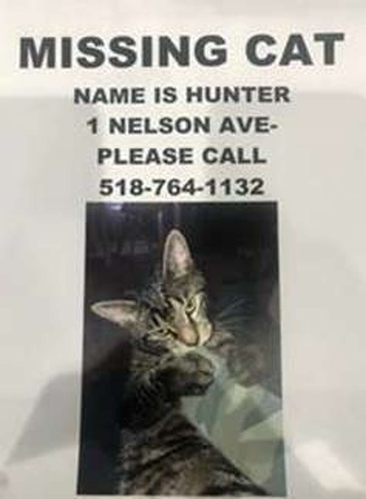 Family is searching for their 2-year-old cat named Hunter who was mistakenly adopted by another family.