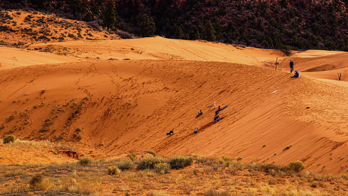 Two of the Johnson grandchildren, chased by their family dog, sit on the side of a steep dune as their sled ground to a halt while a third is busily tunneling in the soft sand at Coral Pink Sand Dunes Recreation Area, Kanab, Utah.