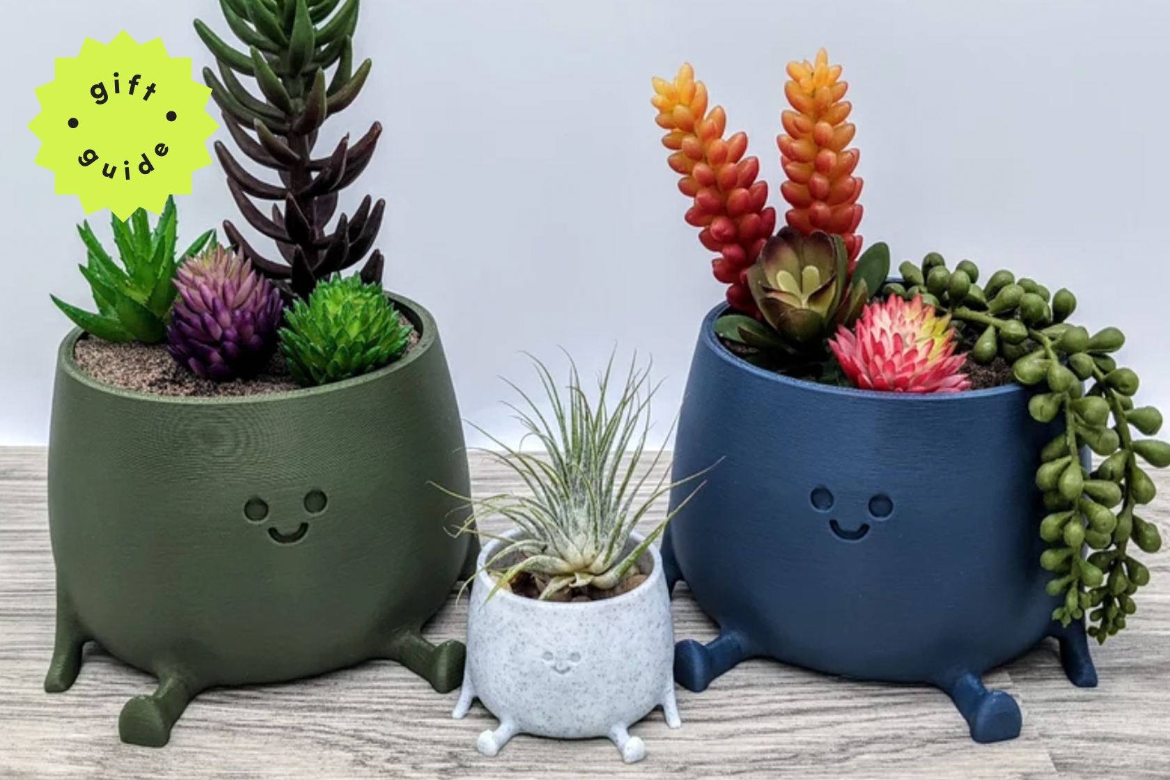 The best gifts for plant parents - Vimarsana News