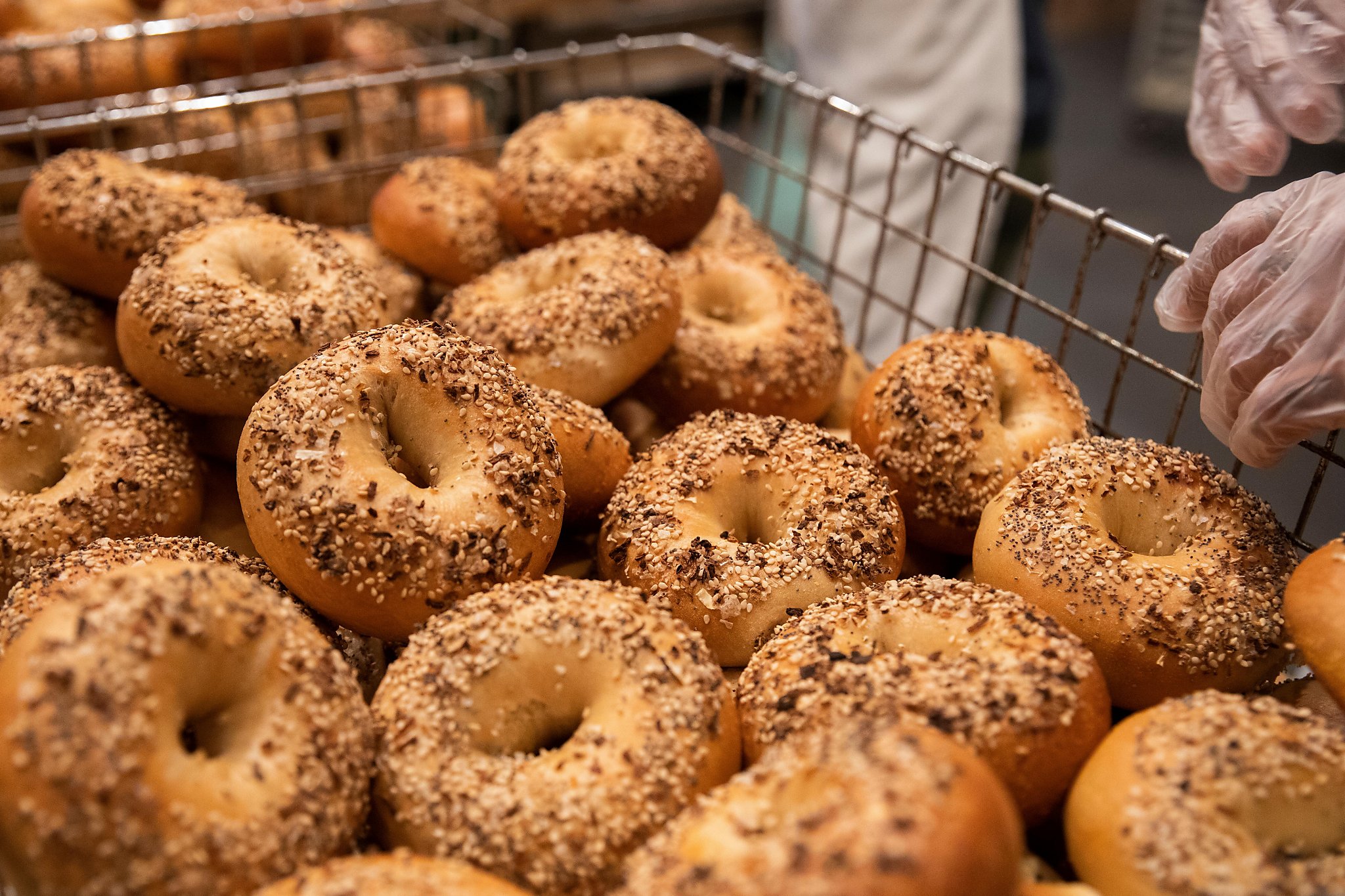 Boichik Bagels, a hit in Berkeley, making its first foray into Marin