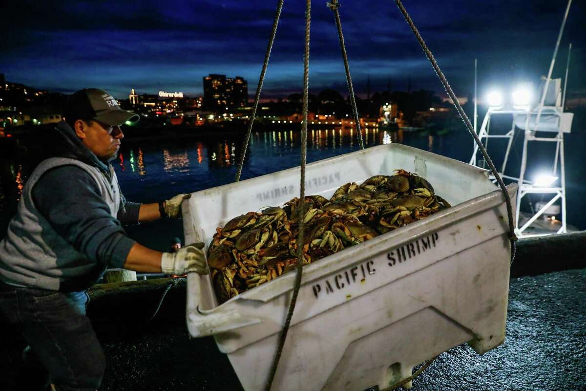 A fisherman handles a container of the first catch of Dungeness crab at Fisherman's Wharf on Pier 45 in San Francisco in December 2019.