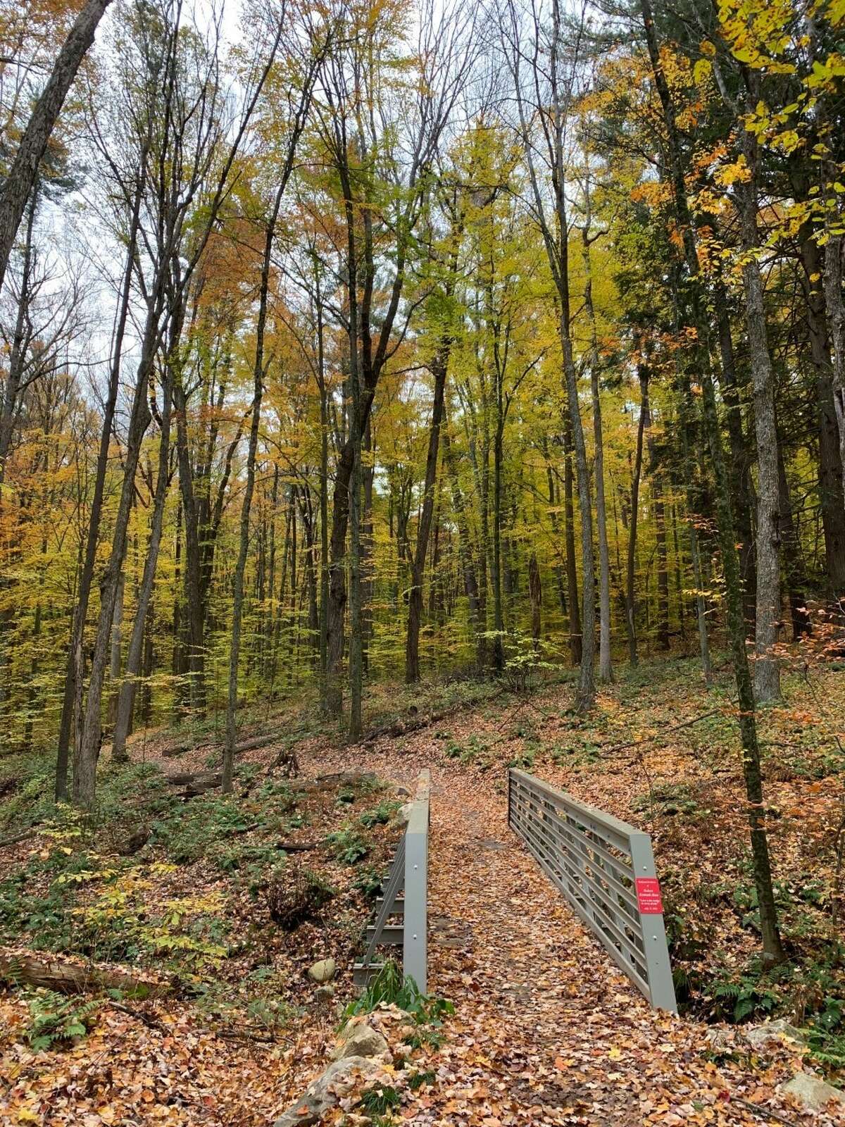 A grant from the Ice Mountain Environmental Stewardship Fund program will help fund continued construction of the Dragon Trail at Hardy Dam.