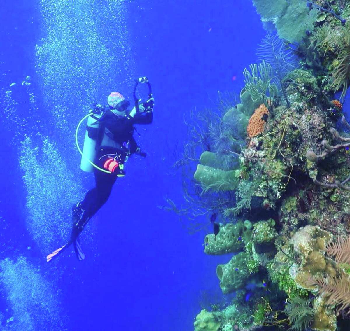 Veteranowned scuba company wants to make training, gear available to all