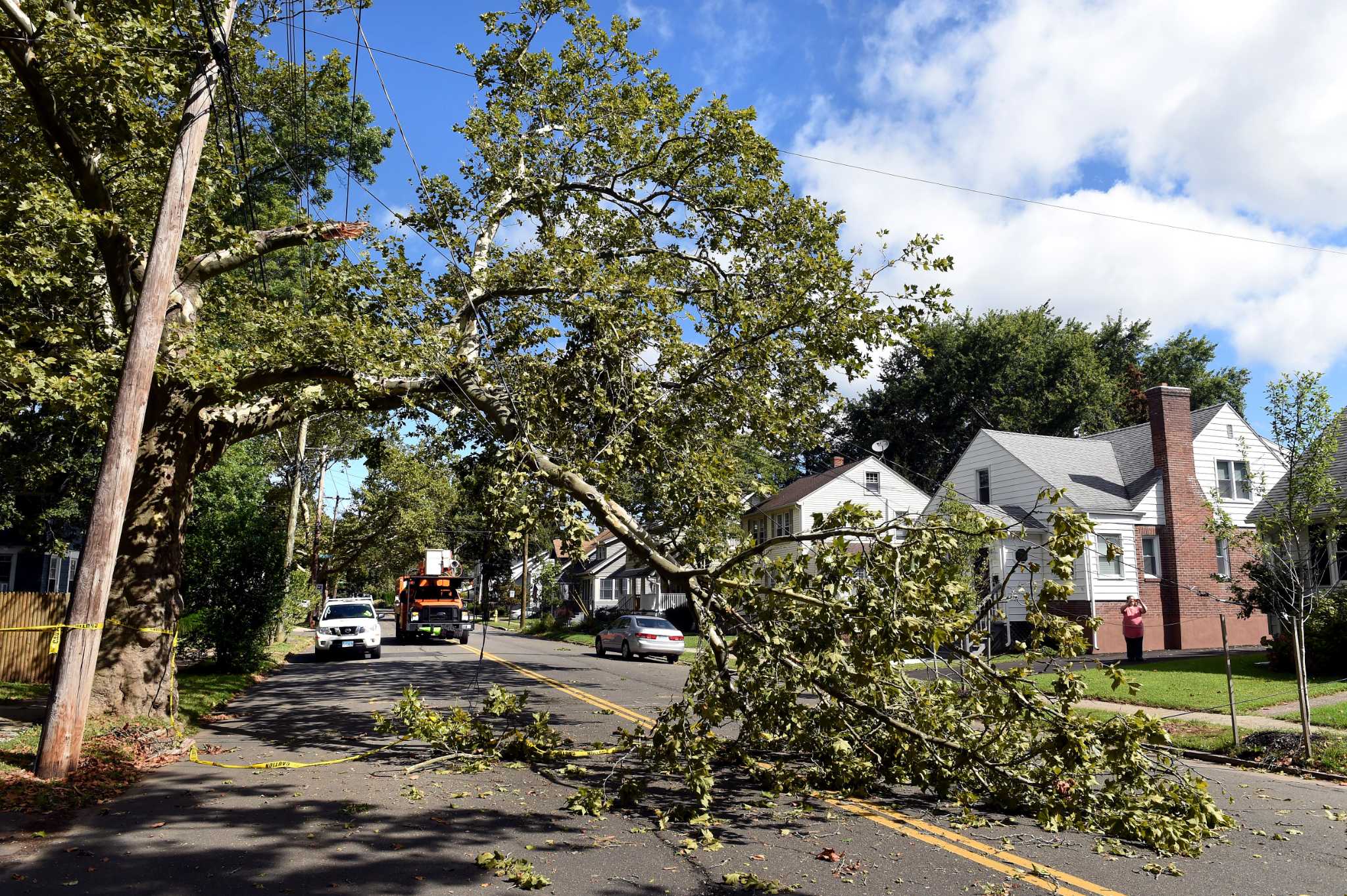 Power restored to thousands in CT after winds bring down tree limbs