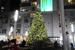 Where to see holiday tree lightings in CT for the 2022 season