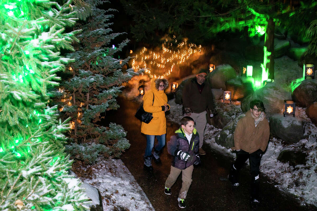 Hundreds of visitors enjoy the display during the annual Dow Gardens Christmas Walk Thursday, Dec. 9, 2021 in Midland.