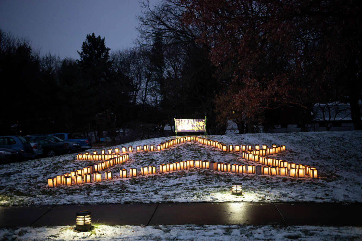 SEEN at Dow Gardens Christmas Walk