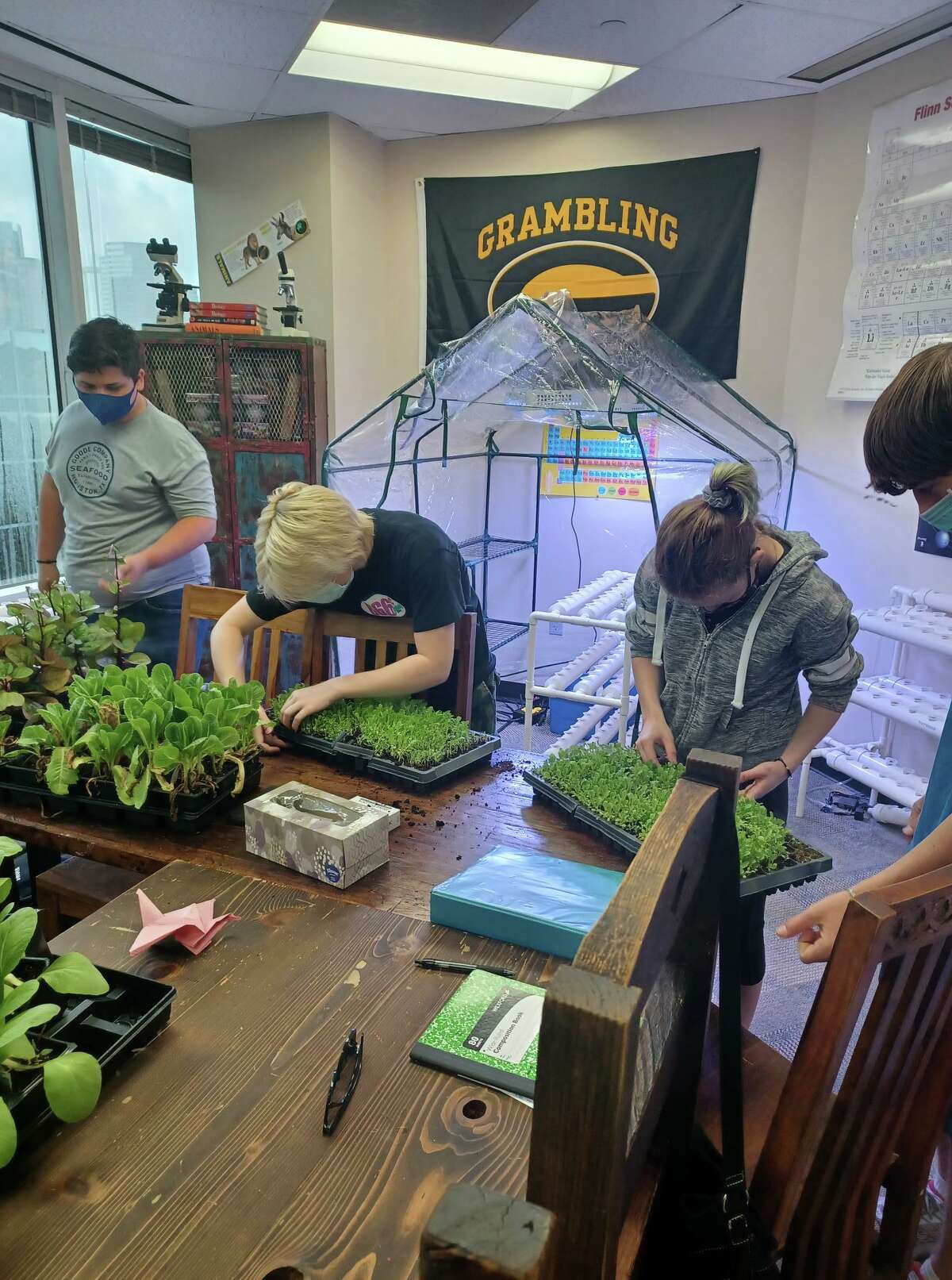 Students at the private school Xavier built an aquaponic garden in their classroom and the school parking garage roof.