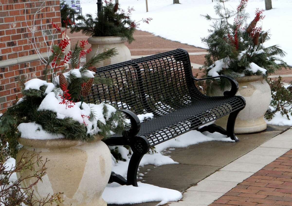 Floods of red and green Christmas decorations can be seen throughout downtown Reed City early Friday afternoon.