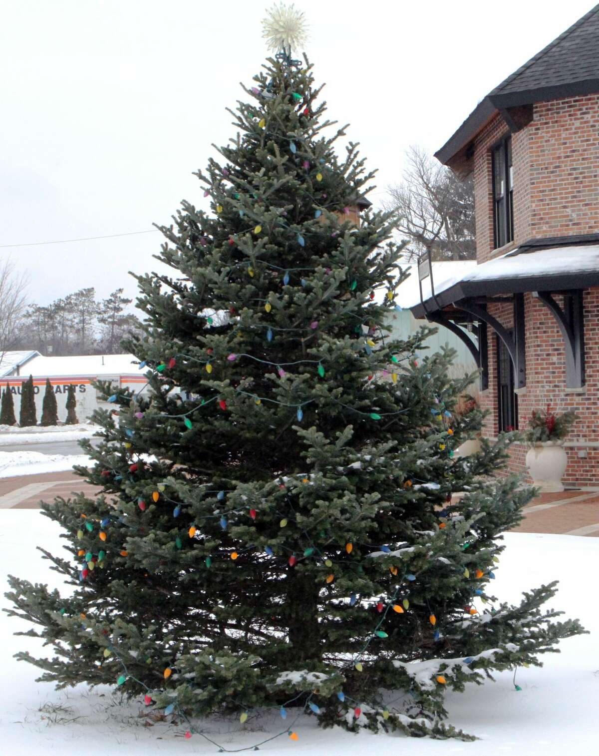 Floods of red and green Christmas decorations can be seen throughout downtown Reed City early Friday afternoon.