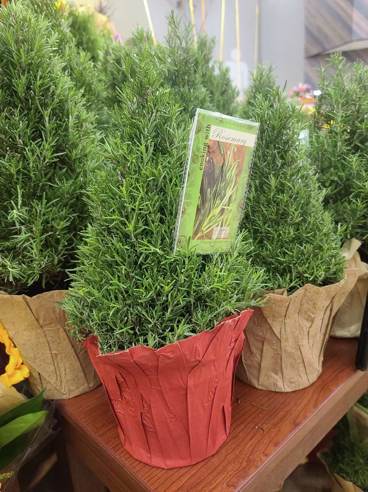 Take the decorative foil off your rosemary pot to prolong its life.