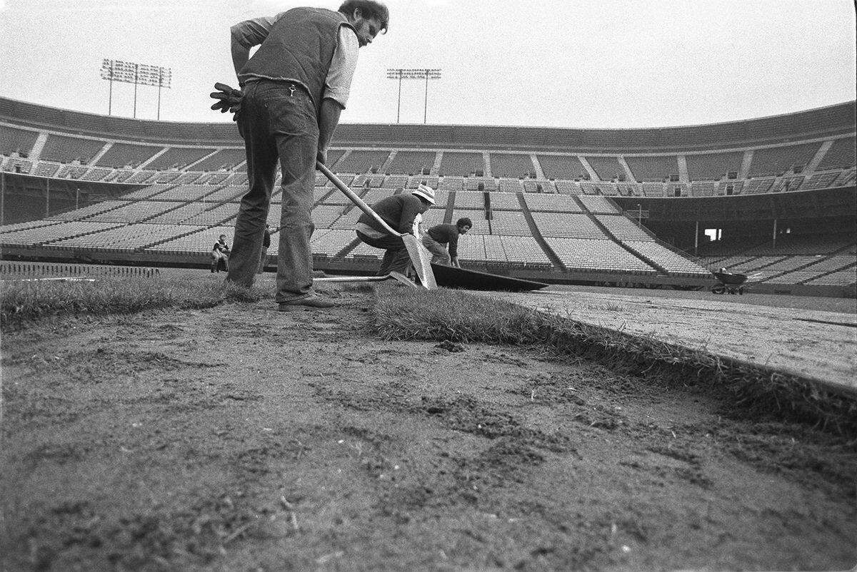 After another game played on a torn-up and shabby field, 49ers coach Bill Walsh wondered after Week 15 of the 1981 season if Candlestick Park’s neighbors might be willing to help out.