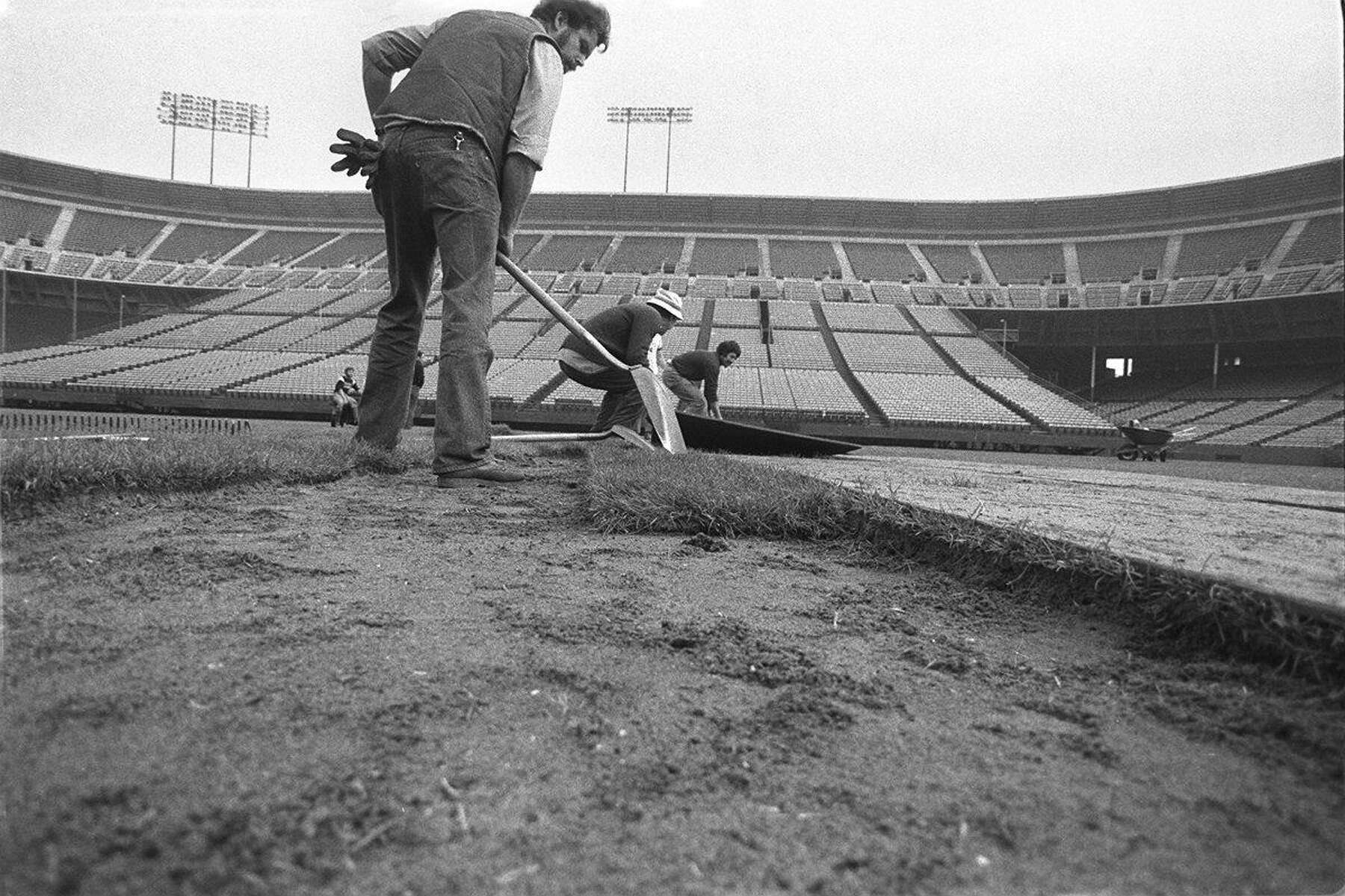 Week 15 Of The 49ers 1981 Season Rest For The Ailing And A Blowout Victory