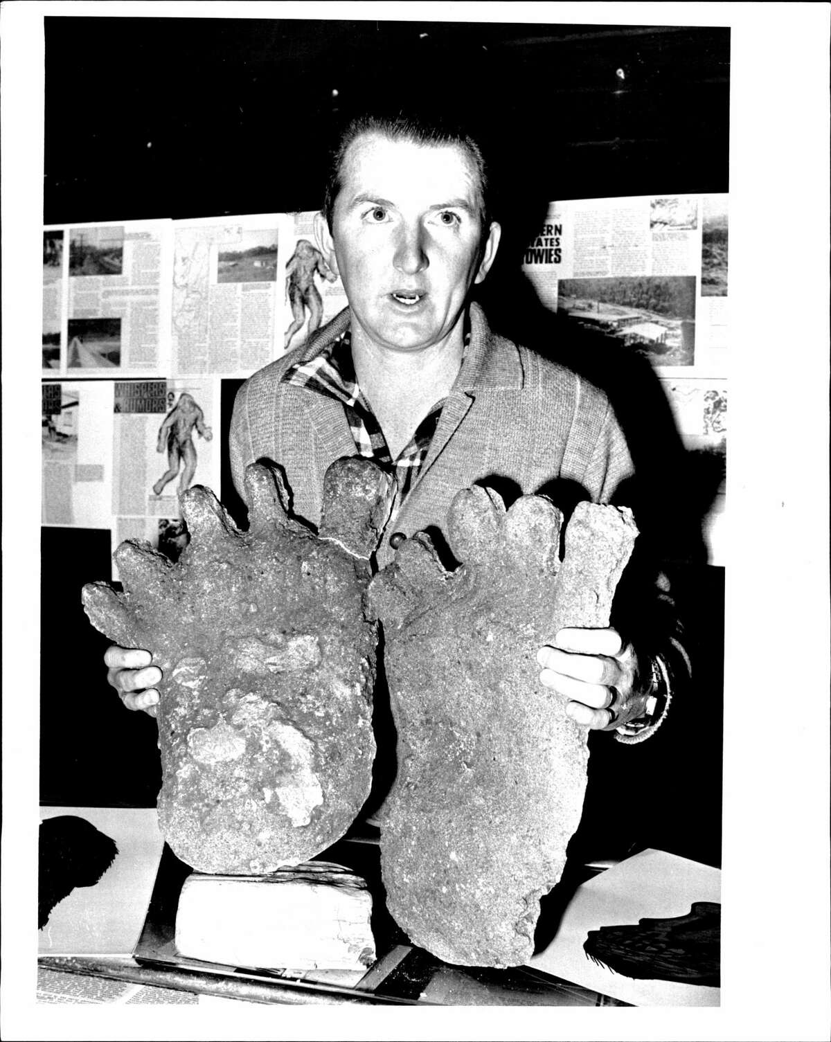 Naturalist Rex Gilroy shows plaster cast impressions of a Yowie, an Australian equivalent of Bigfoot.