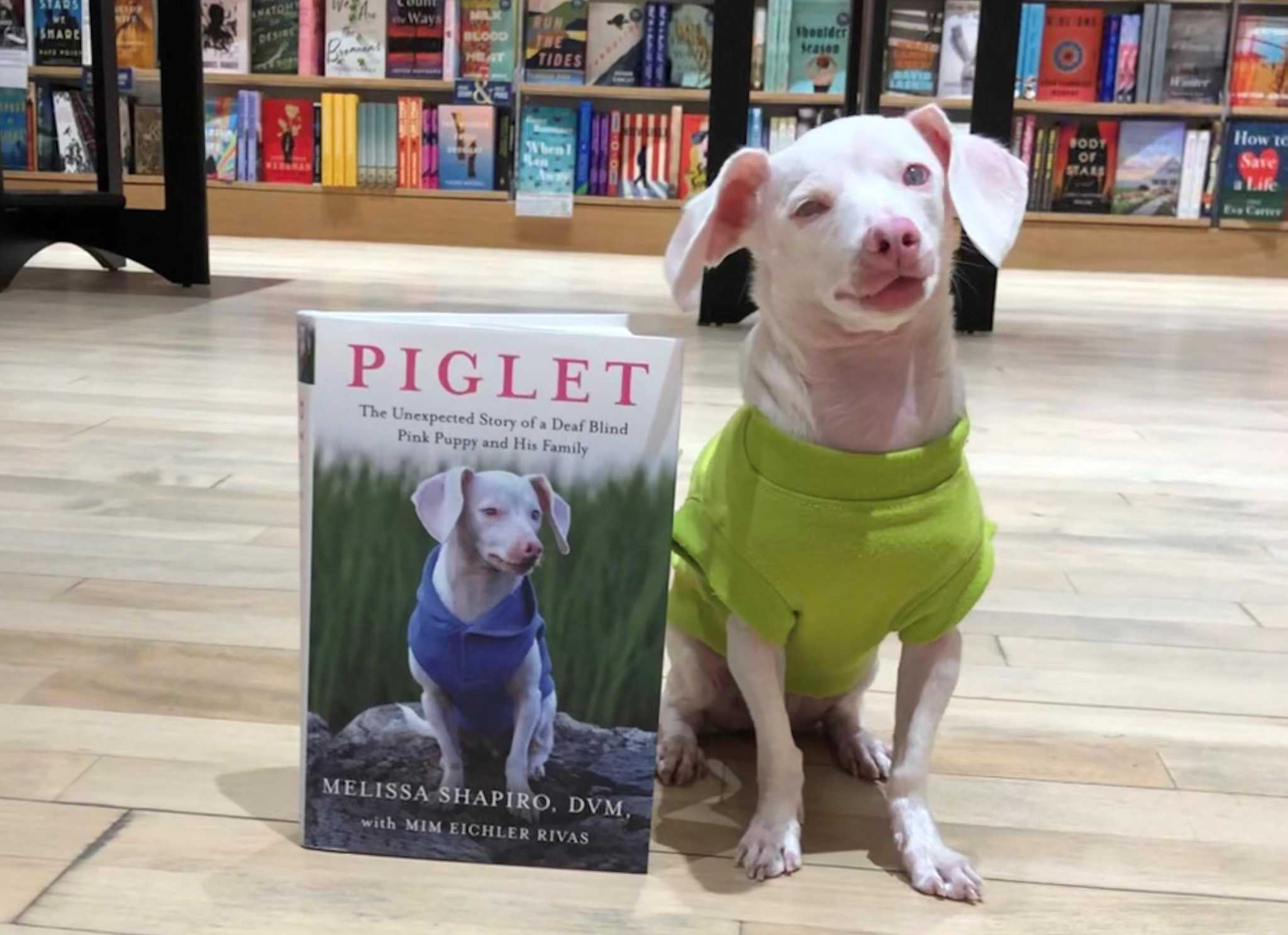 Local authors shortlisted for 2022 Connecticut Book Awards - Vimarsana News