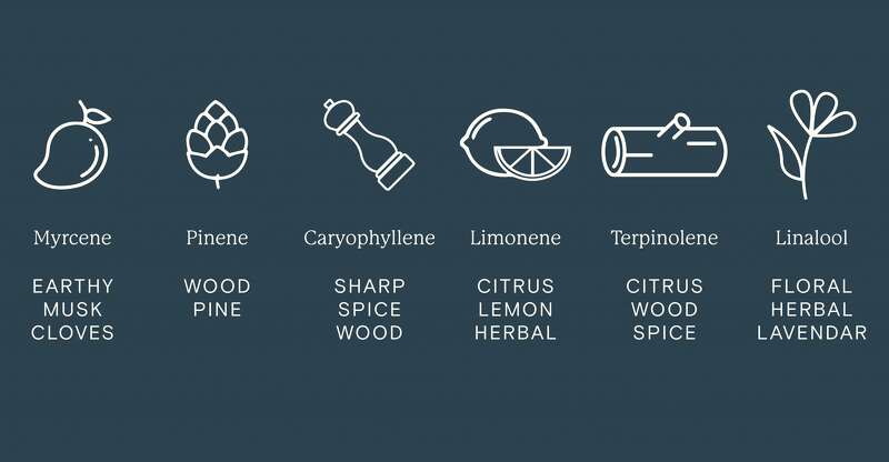 Types of Terpenes
