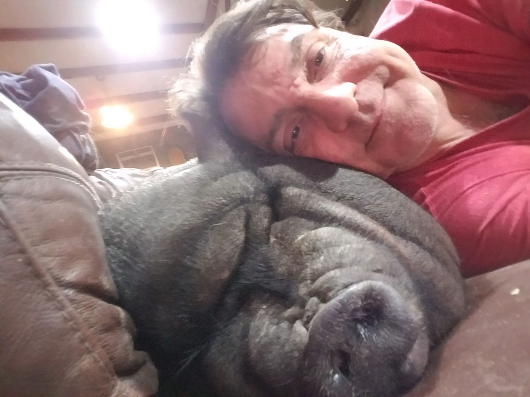 Churchill: Get rid of Ellie? When pigs fly - Vimarsana News
