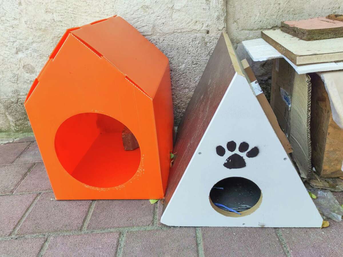 How to help feral cats stay warm outside this winter