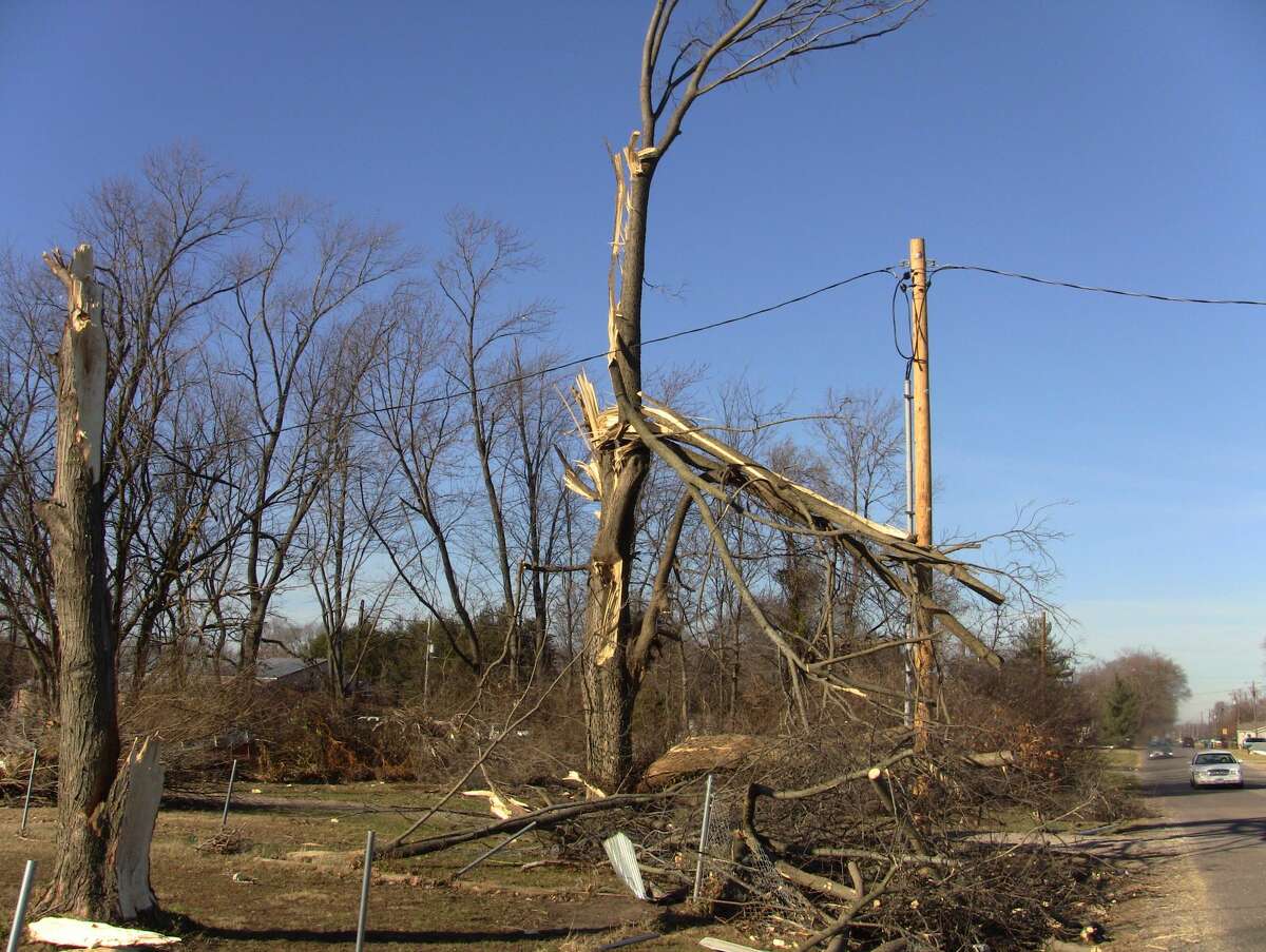 Trees along Susie Makler's property on Sand Road in Edwardsville were uprooted and snapped in half as the EF3 tornado from Dec. 10 came thrashing through.